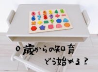 0歳からの知育どう始める？