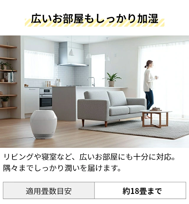 BALMUDA Rain 加湿の仕組み プレフィルター 加湿フィルター 銀イオンカートリッジ