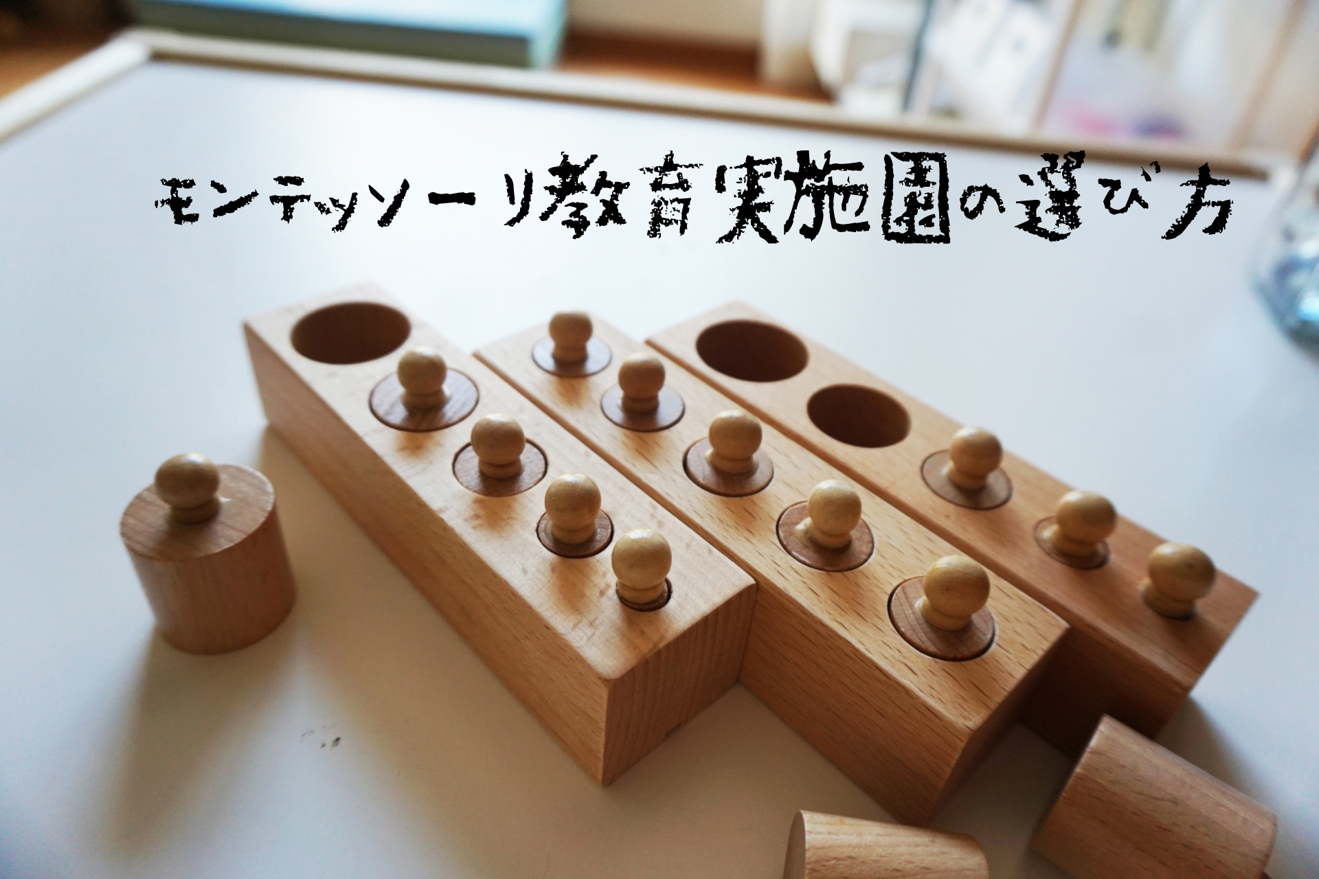 モンテッソーリ教育実践園