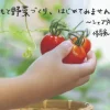 シェア畑　野菜づくり