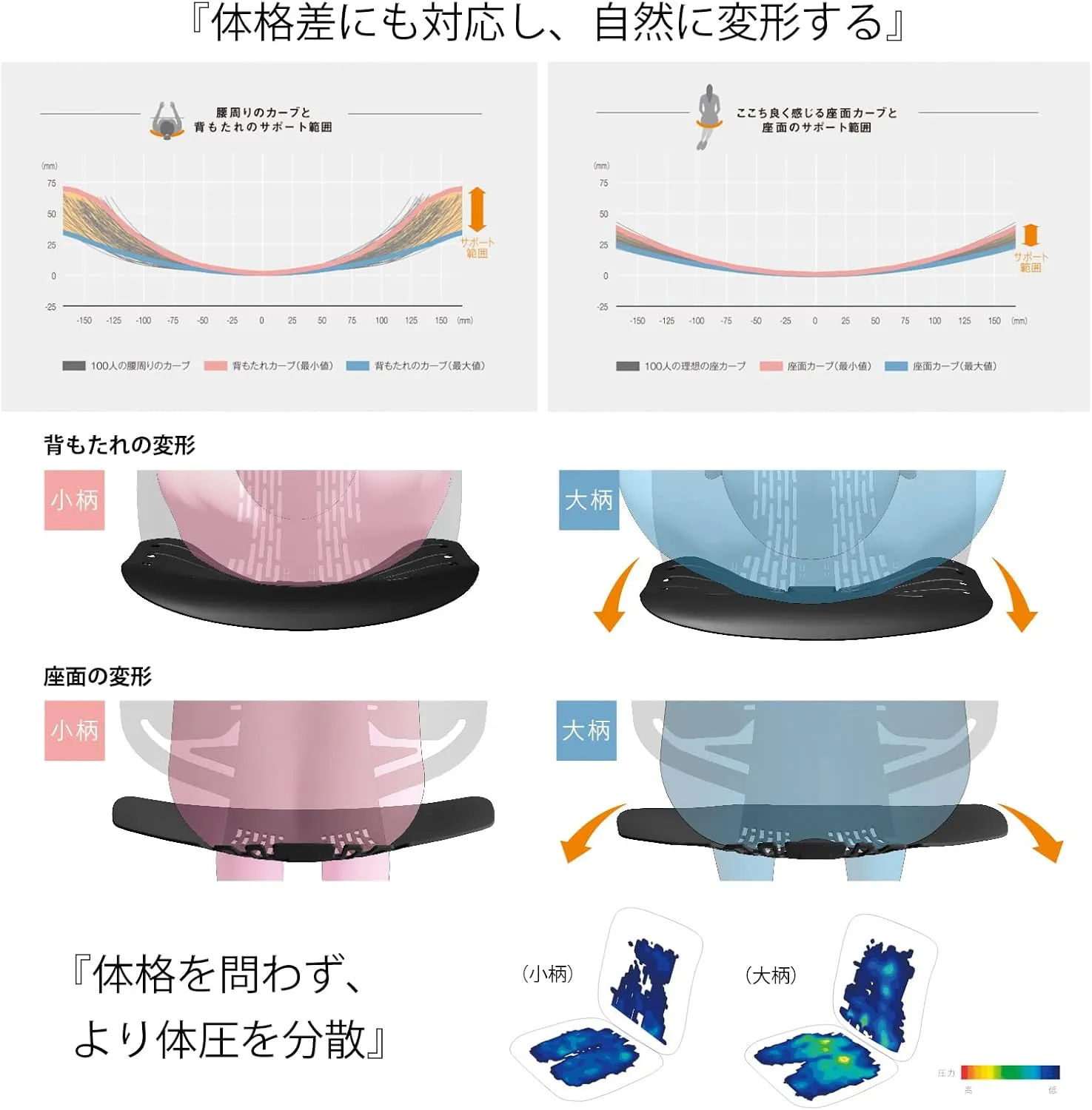 オカムラ スフィア 100人の体格計測データに基づくカーブグラフと体圧分散データ 小柄・大柄それぞれの背もたれ・座面の変形