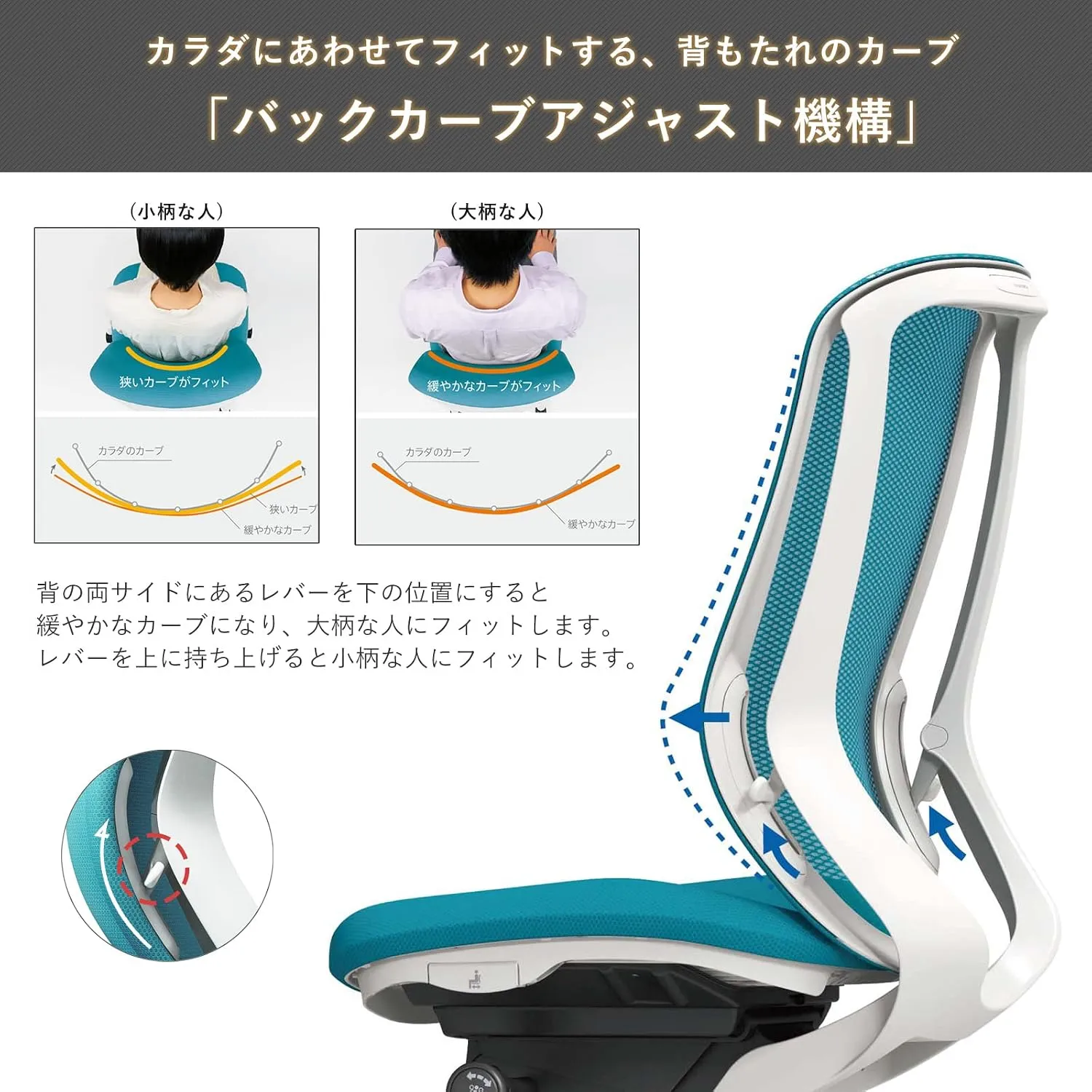 オカムラ シルフィー バックカーブアジャスト機構 小柄な人・大柄な人でのフィット比較